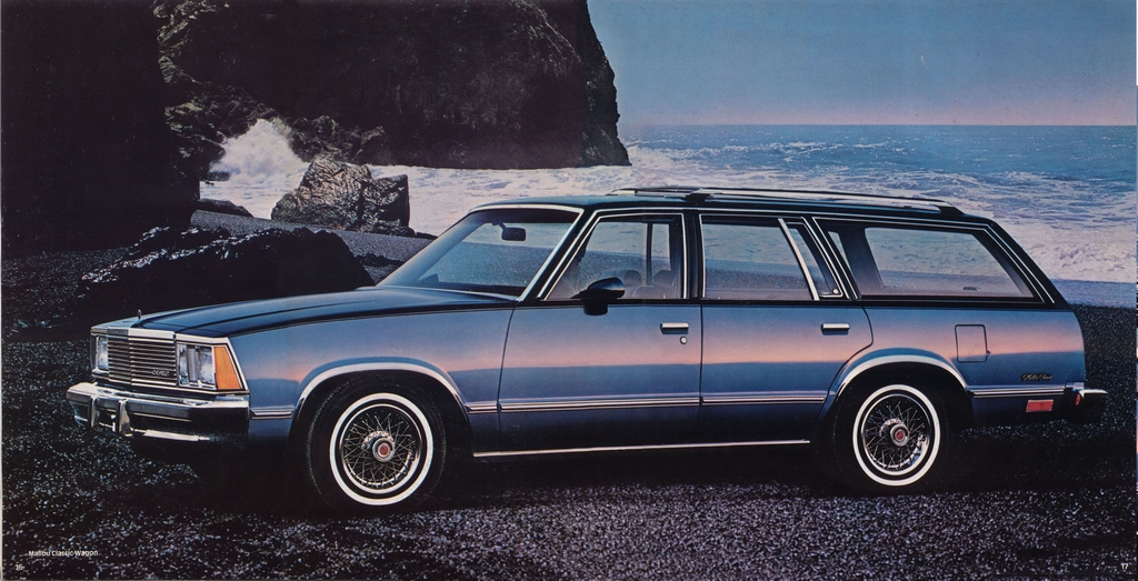 n_1981 Chevrolet Malibu-16-17.jpg